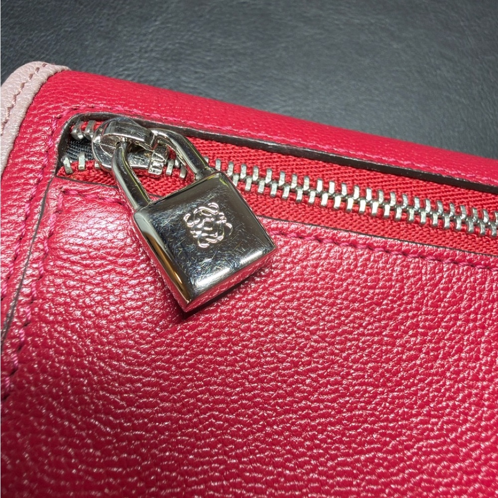 Loewe Amazona Wallet - Picture 3 of 16